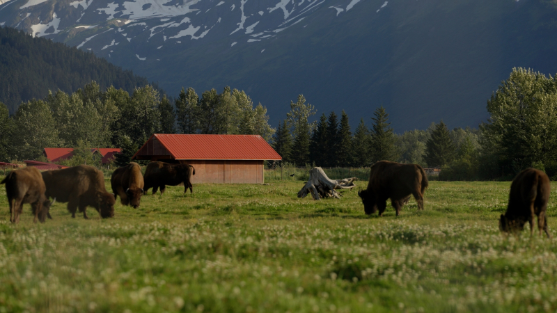 Timeline-1_01_04_44_38