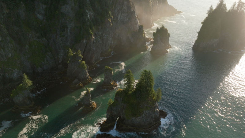 Timeline-1_01_06_04_21