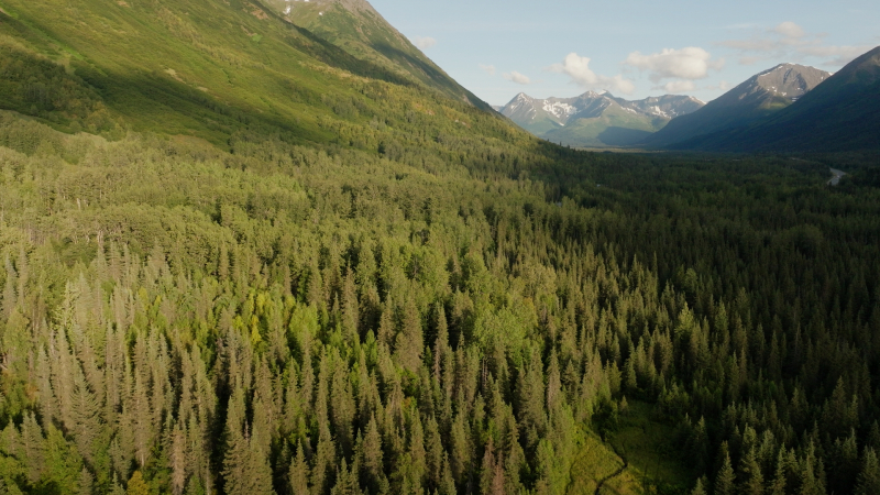 Timeline-1_01_06_52_08