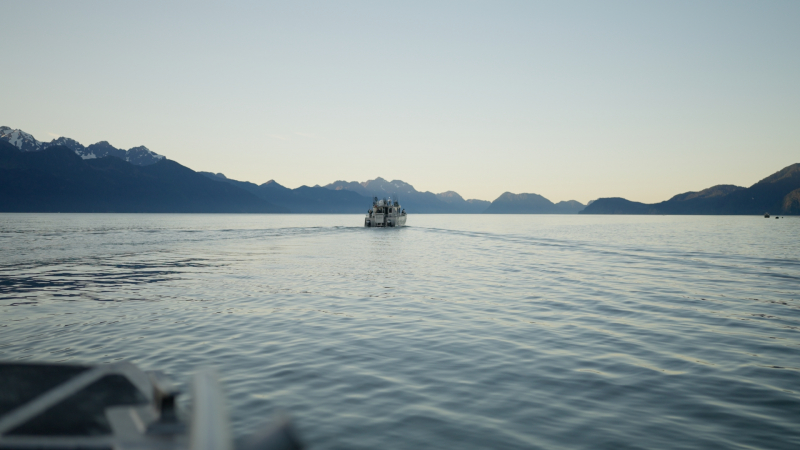 Timeline-1_01_11_16_05