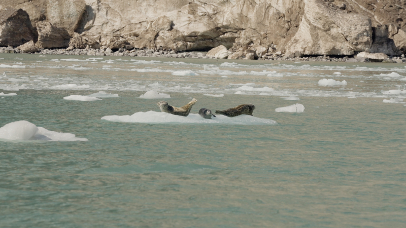 Timeline-1_01_12_16_35